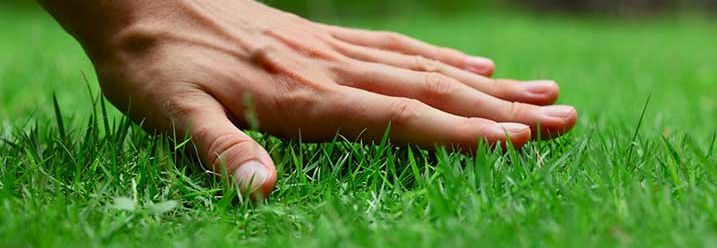 Hand beruehrt Rasen